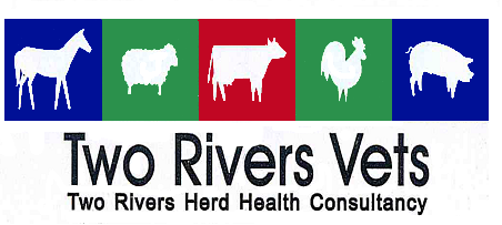 Two Rivers Vets - Logo